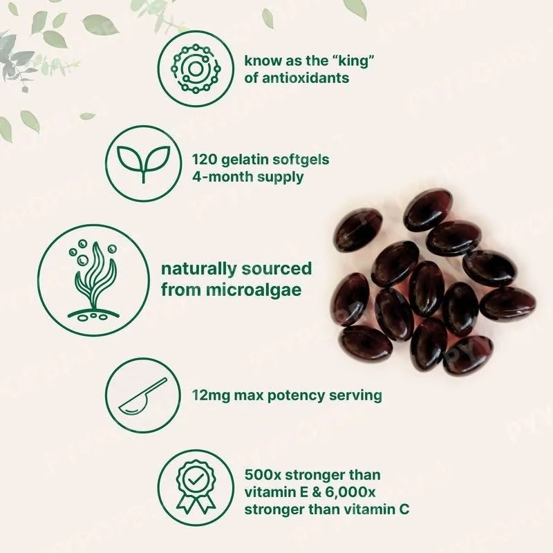 Astaxanthin 12mg Softgels From Plant-Based Microalgae with MCT Oil Dietary Supplement