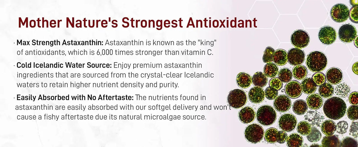 Astaxanthin 12mg Softgels From Plant-Based Microalgae with MCT Oil Dietary Supplement